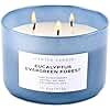 Eucalyptus Evergreen Forest 3-Wick Soy Candle, 15.8 oz | Winter Pine, Balsam Fir & Evergreen Scented Candle | Woodsy Aromatherapy Candle for Home | Clean Burn, Long-Lasting