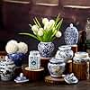 Funnymoom 8 Pcs Small Blue and White Vase Ceramic Small Ginger Jar with Lid Porcelain Vases Chinoiserie Decor Chinese Ginger Jars for Home Bedroom Tabletop Decor Table Accent Shelf