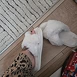 Customer Image, click to open customer review